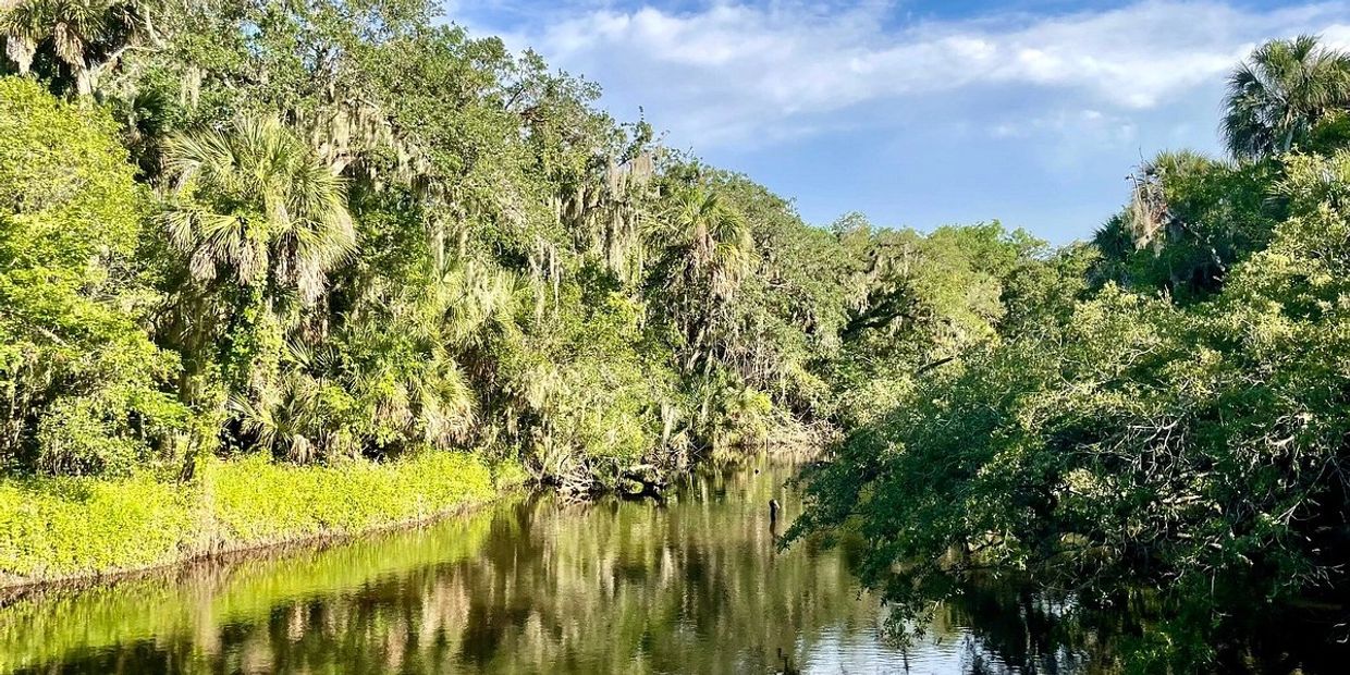 become-a-volunteer-turkey-creek-sanctuary-society